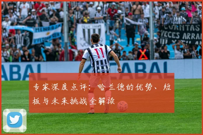 专家深度点评：哈兰德的优势、短板与未来挑战全解读