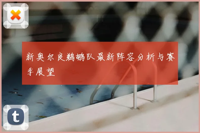 新奥尔良鹈鹕队最新阵容分析与赛季展望